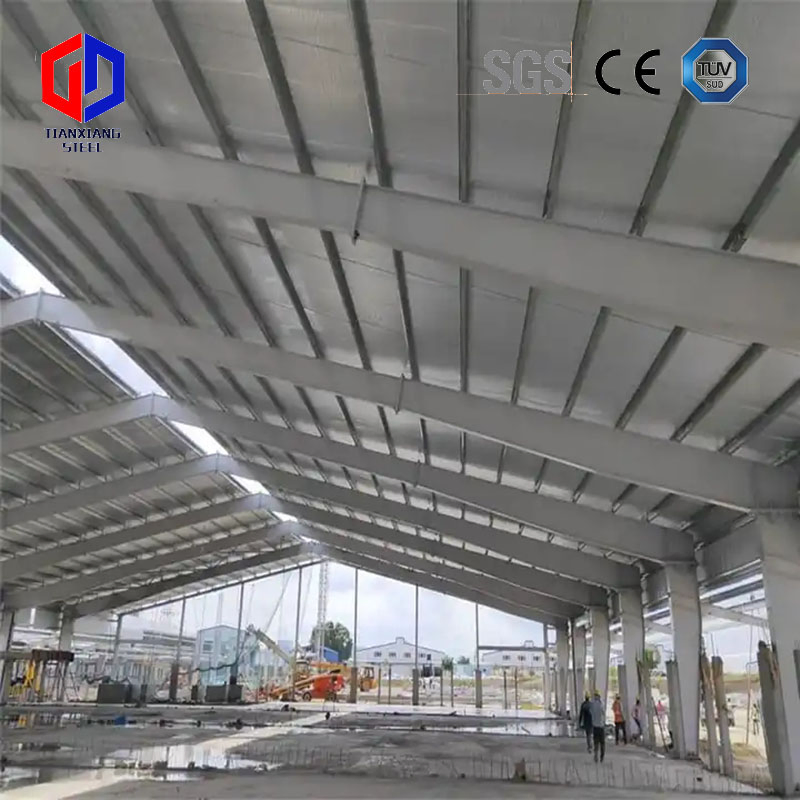 Modern Prefab Steel Structure Chicken Poultry Farm Farming Design House Chicknes Houses Price for Sale