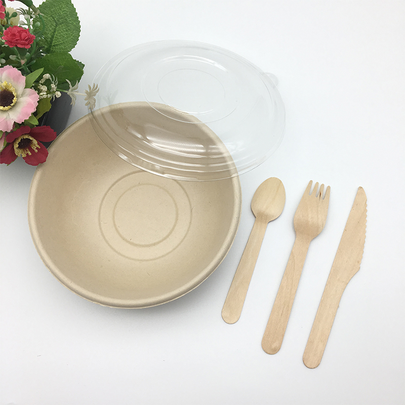 Heavy Duty Tableware Biodegradable Sugarcane Salad Bowl with Fork and Spoon