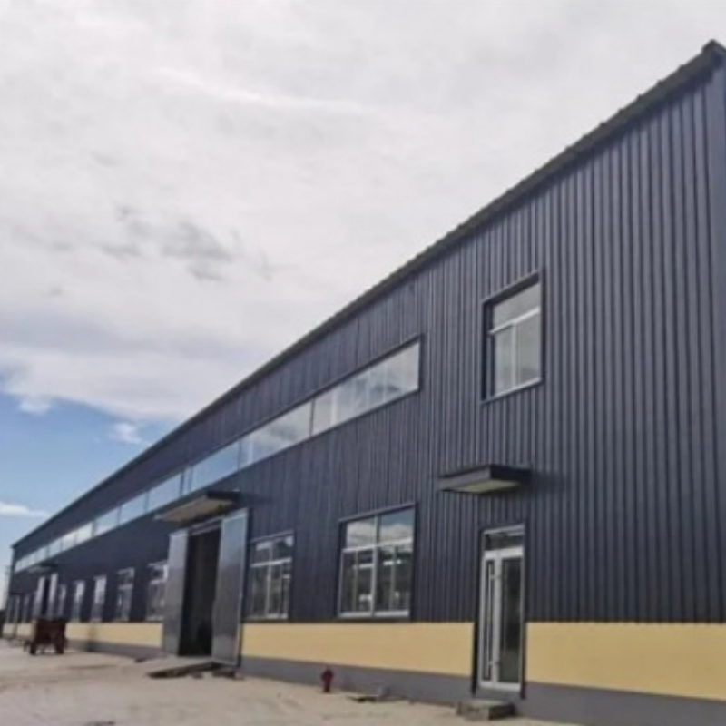 Cold Storage Insulation Steel Structure Warehouse Workhouse