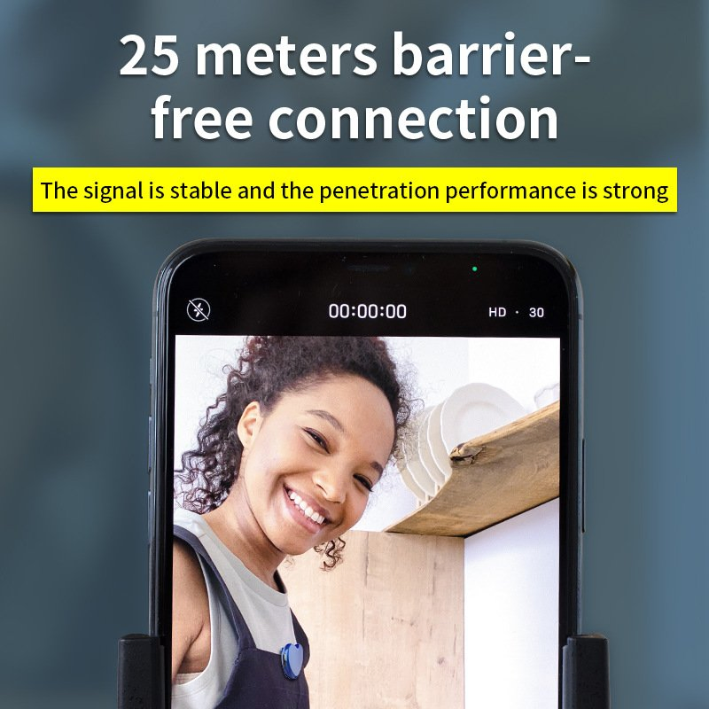 Small Portable Professional Recording Pen Microphone