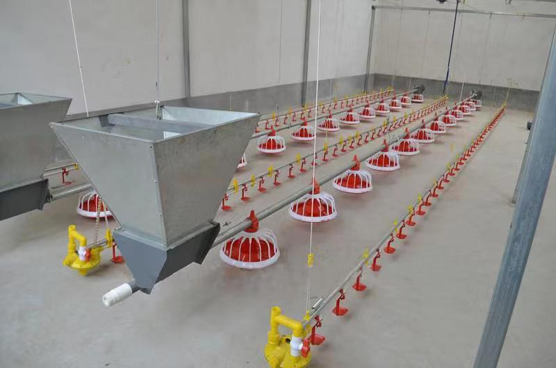 Factory Supply Poultry Equipment Plastic Products