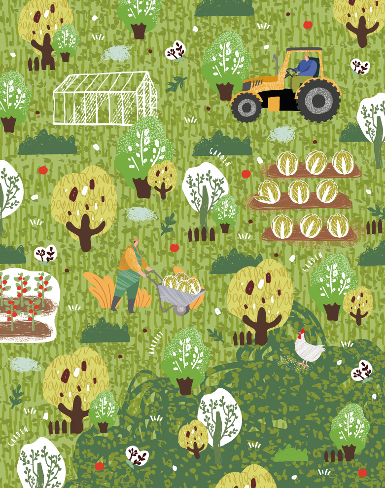 Custom Popular Cotton Printednapkin Kitchen Tea Towel