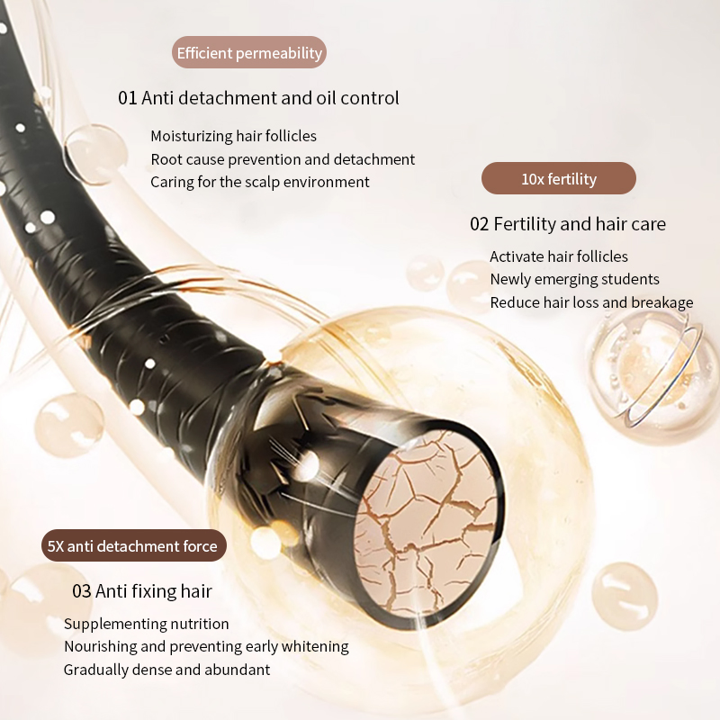 Ditong OEM/ODM Advanced Hair Growth Formula for Preventing Baldness