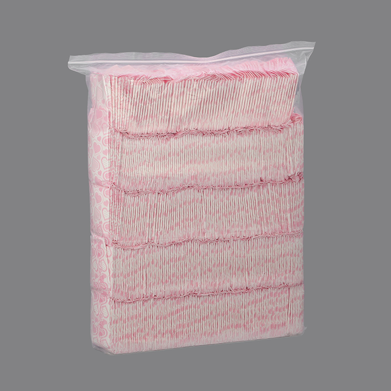 Disposable Adult Wearing Lady Diaper Girl Menstrual Period Diapers Women Pad Sanitary Pants Wholesale Biodegradable Sanitary Napkins Maxi Thick Sanitary Nappies