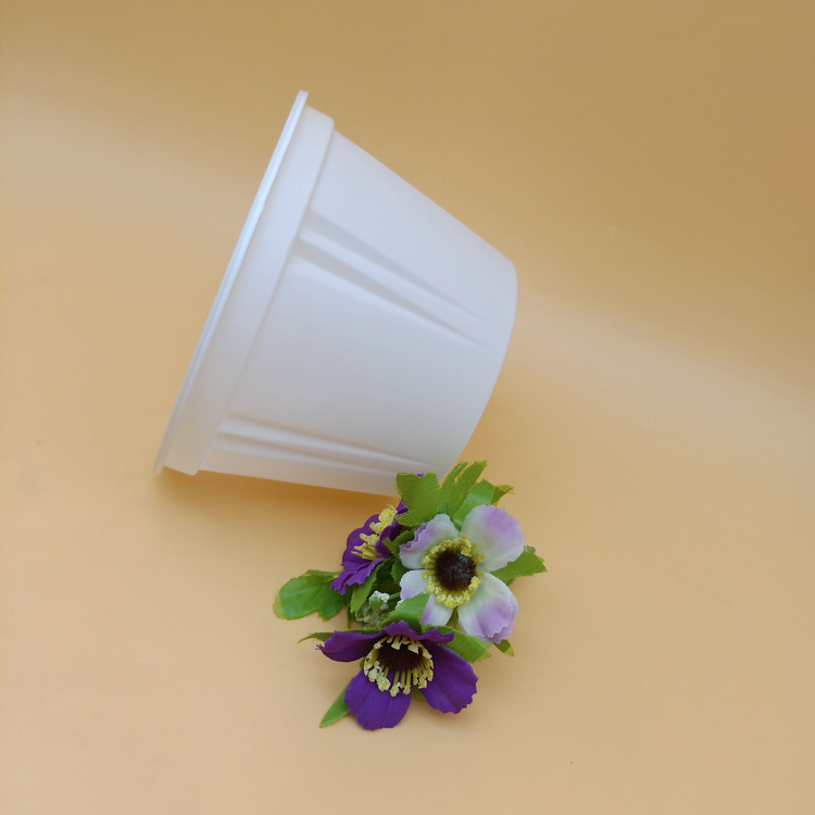 Composted Cornstarch Takeaway Soup Bowl