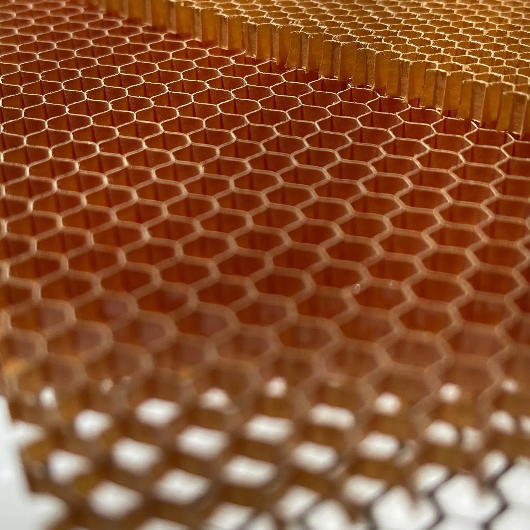 Aramid Honeycomb Paper Core Sandwich Panels Price for Marine Building