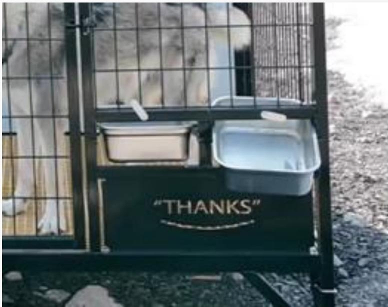 Outdoor Rainproof Large Size Wooden Dog Villa King Size Kennel with Steel Frame Door Giant Pet House with Ventilated Window