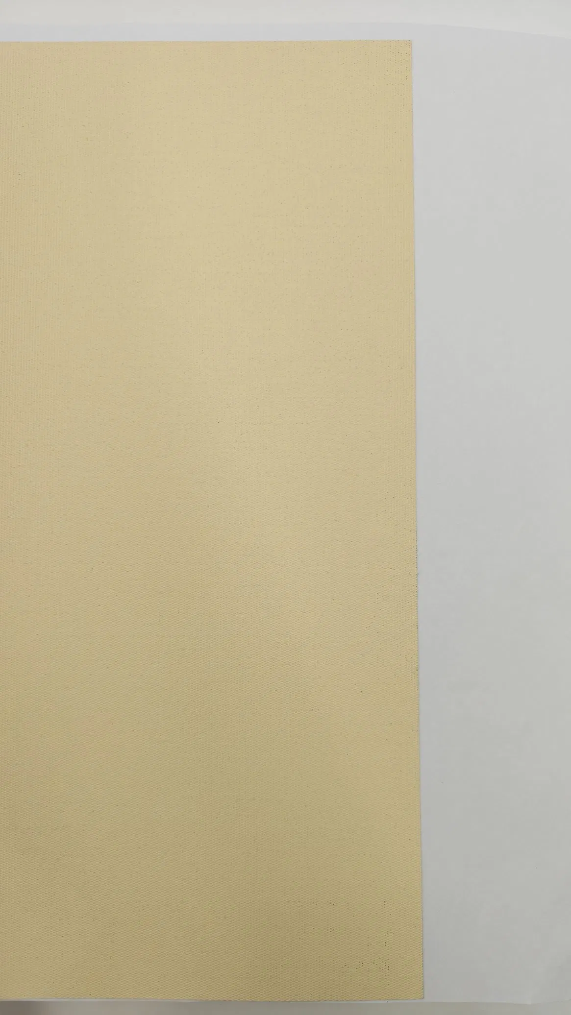 Luxurious Beige Total Blackout Roller Blind Fabric for Privacy