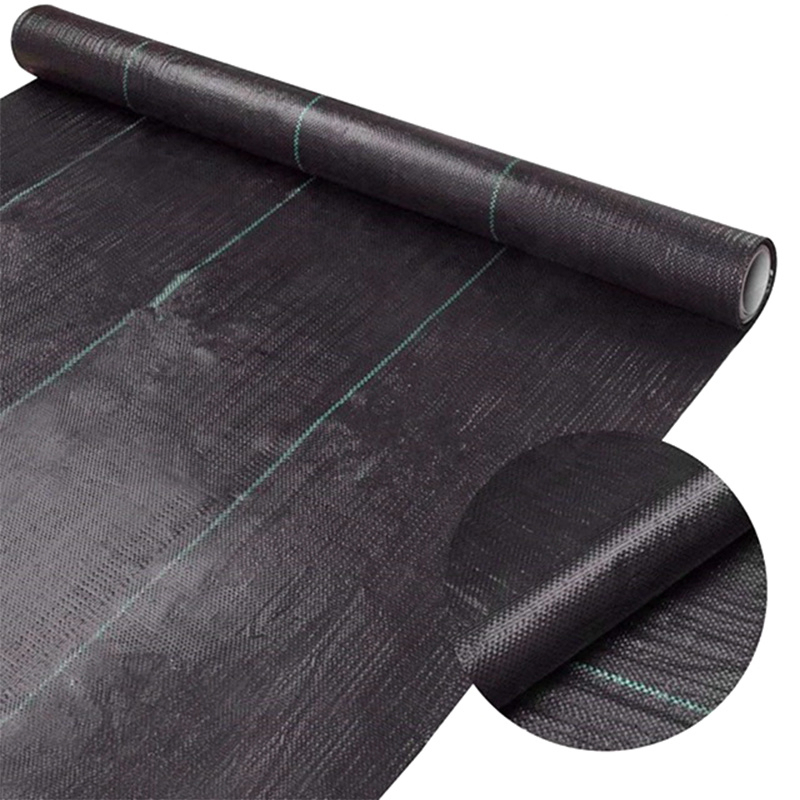 PP Material Ground Cover for Agriculture