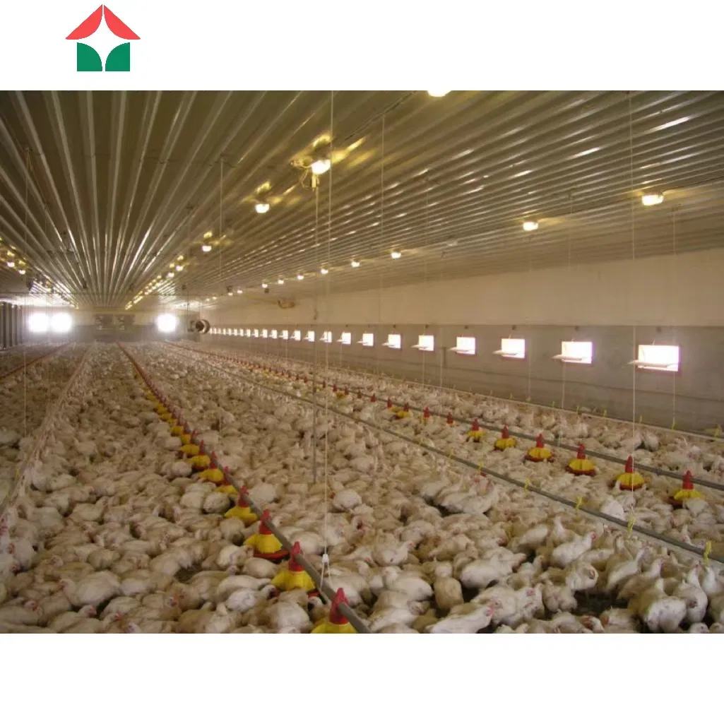 Customized Free Design Metal Frame Steel Construction Prefabricated Prefab Light Steel Structure/Chicken Sheds/Broiler Farm/Poultry Farm