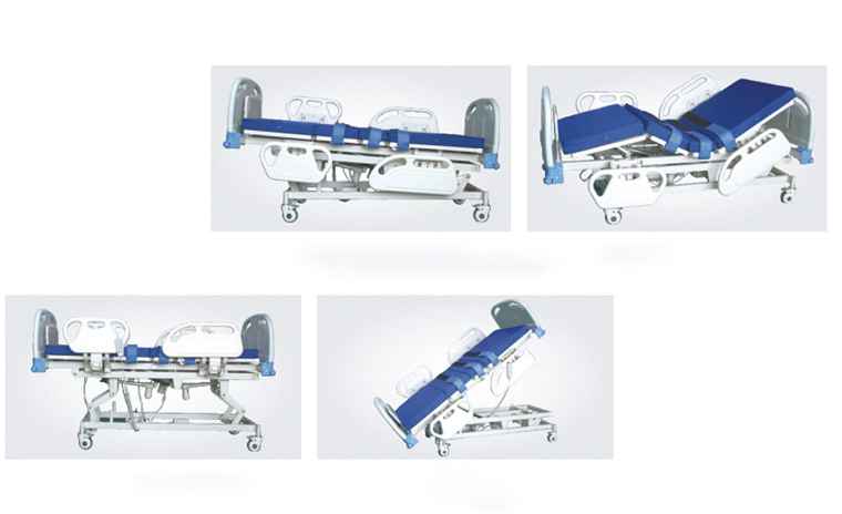 Electric Multifunctional Integrated Standing Bed