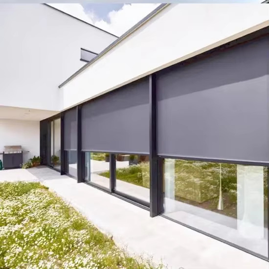 Hot Selling Customized Patio Motorized Roller Zip Screen Blinds for Pergola