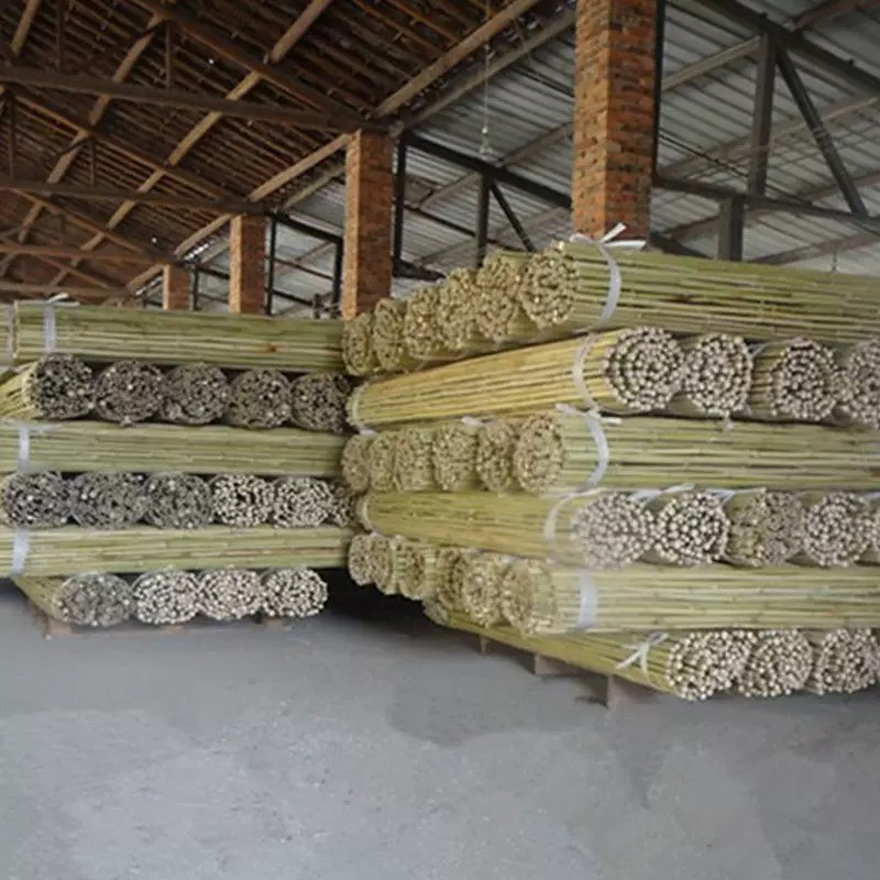 Large Bamboo Poles for Gardening - Natural Thick Stakes, Heavy Duty & Professional