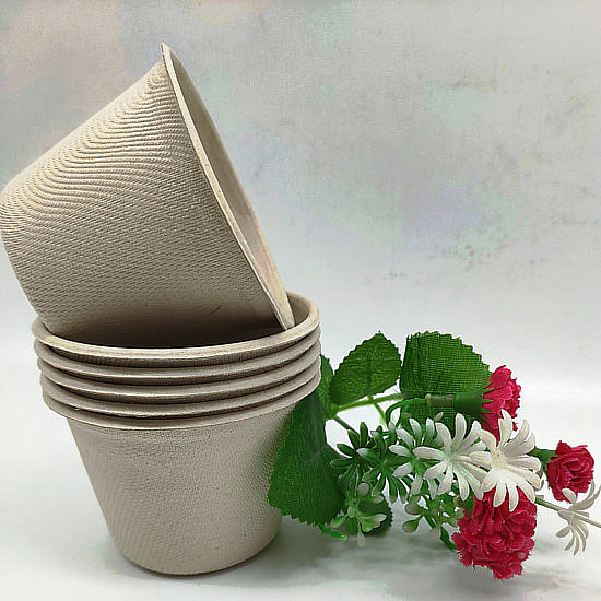 Compostable Bagasse Paper Pulp Cup 140ml for Ice Cream Dessert