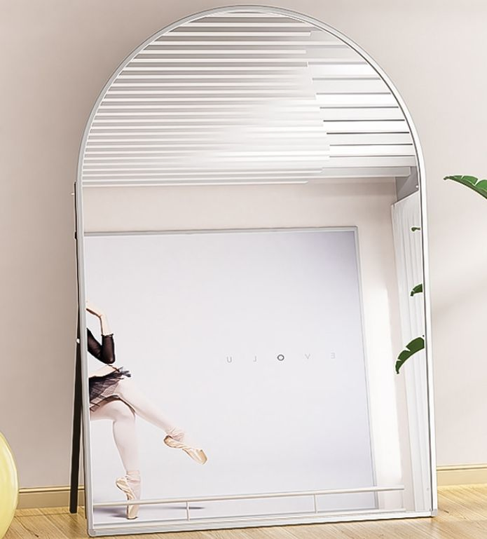 Full Length Wall Mirror for Living Room - Modern Stainless Steel Frame Large Standing Mirror - Home Decoration & Interior Design Essential