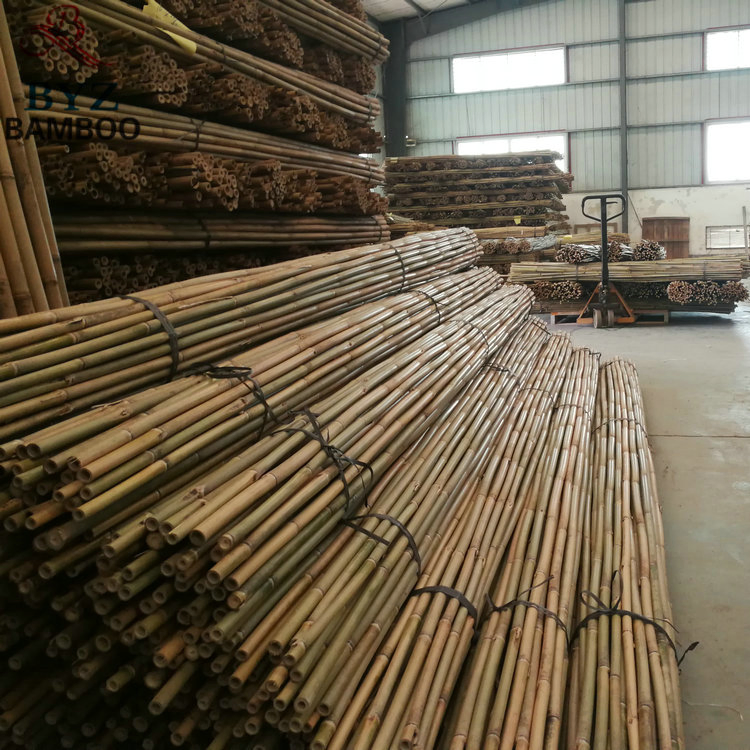 Large Bamboo Sticks Poles
