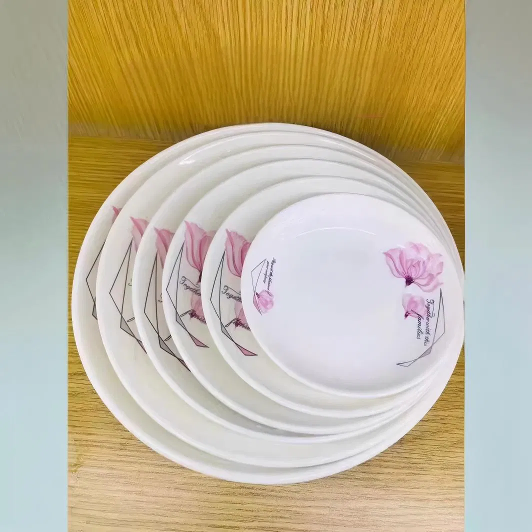 Rice Pasta Fuirt Plate Size 6"-14" Pad Printing Porcelain Ceramic Tableware