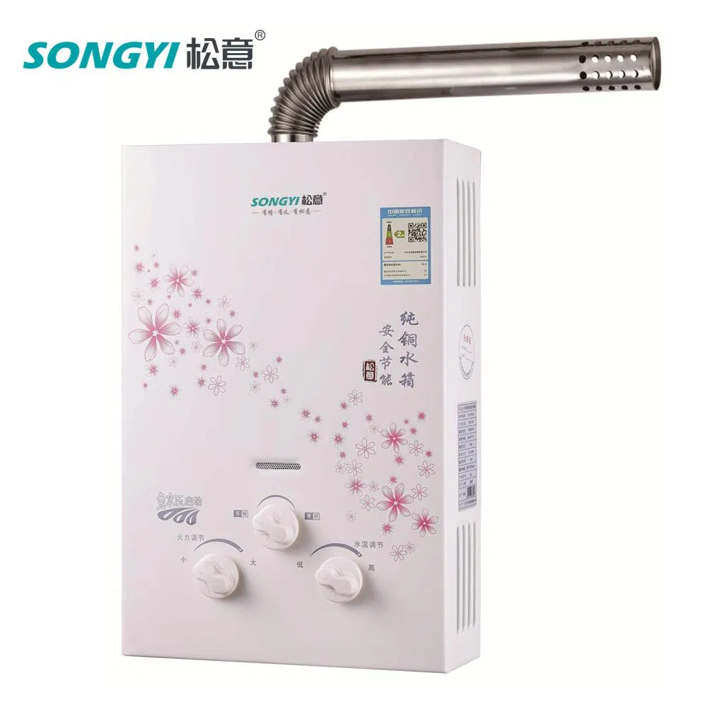 Camping Geyser Intelligent Tankless Gas Water Heater Indoor Heating