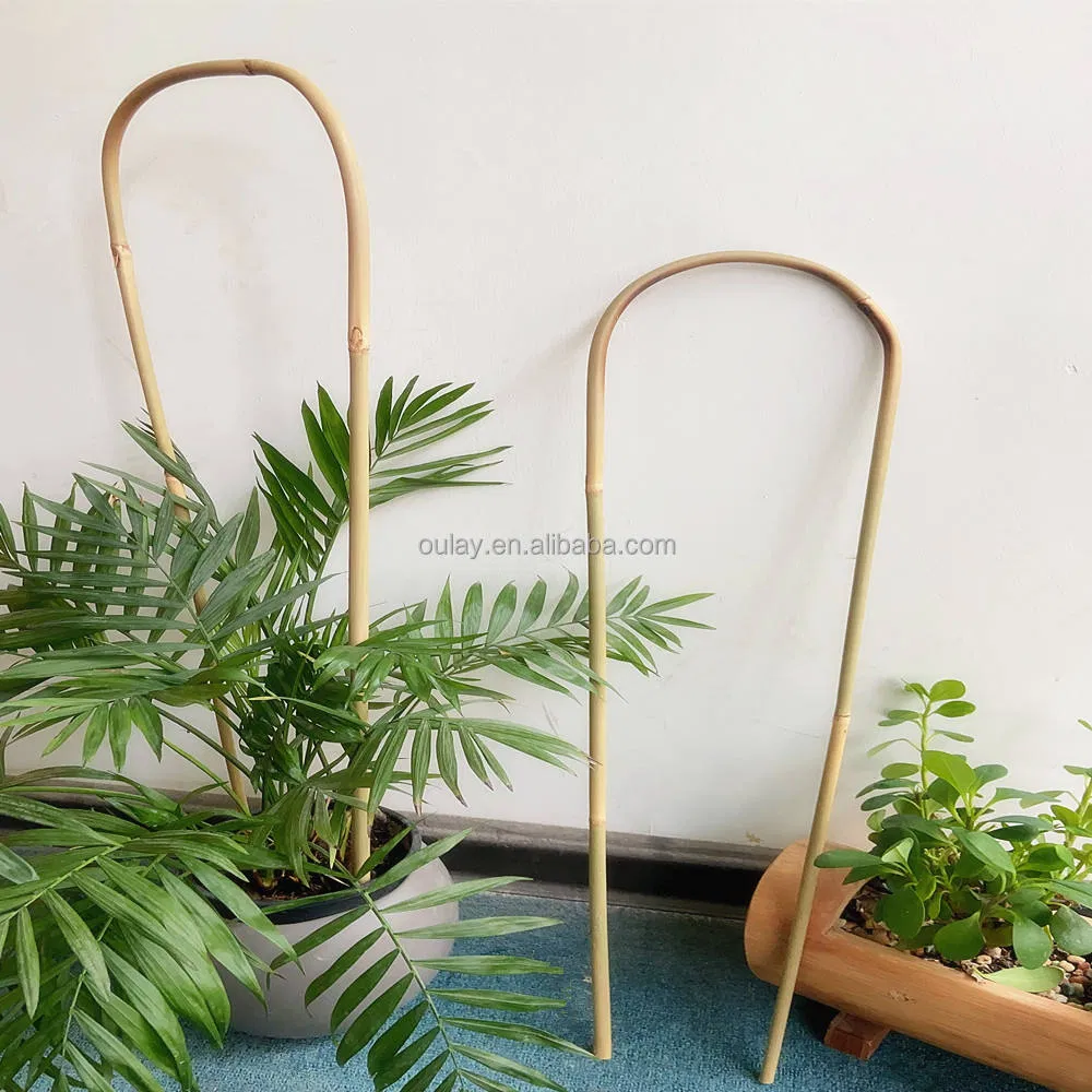 Garden Support U Bamboo Trellis 40cm 60m Stakes Support Trellis Planting Climbing