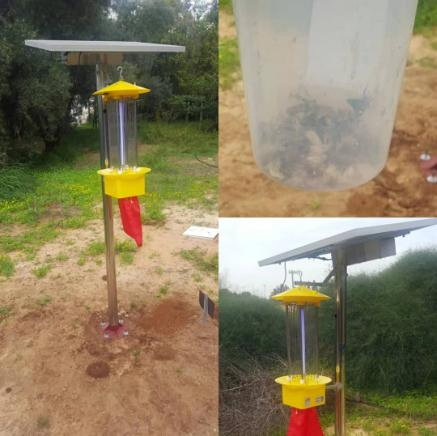 20W Solar Insect Killer Lamp with 120m Effective Killing Radius