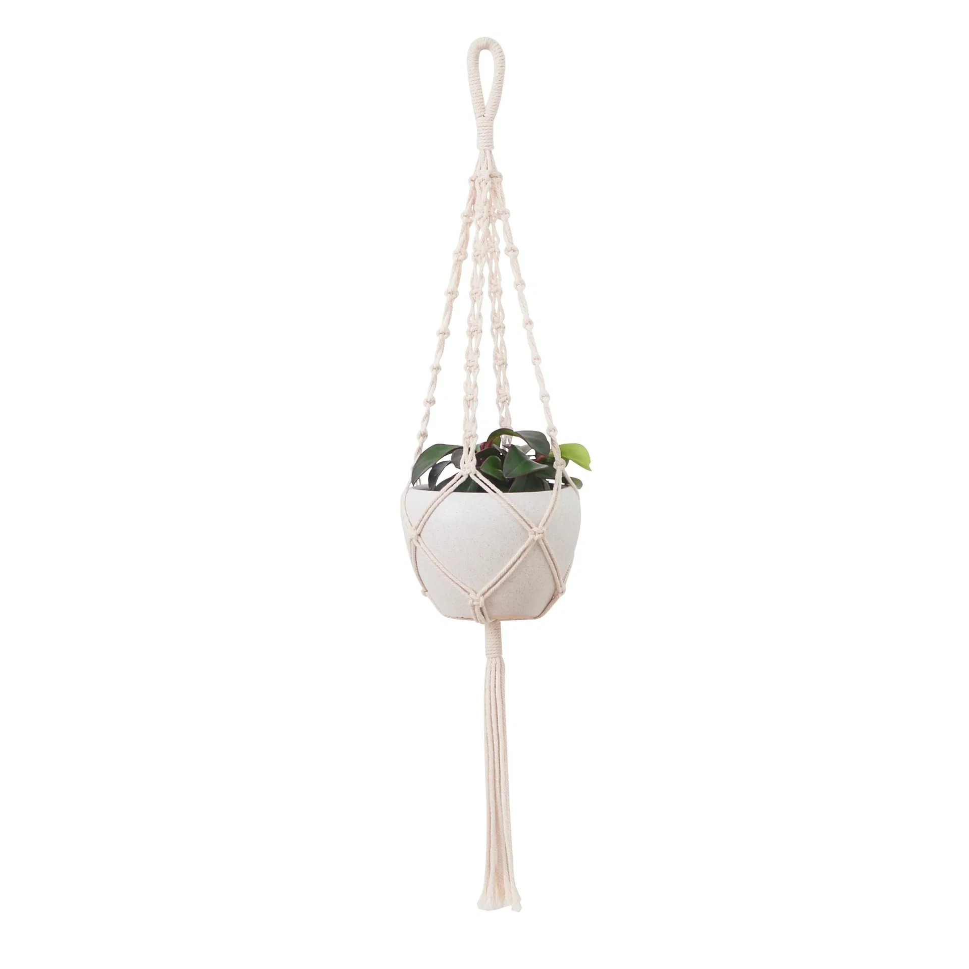 Stylish Handmade Cotton Macrame Hanger Set for Wall and Plant Display