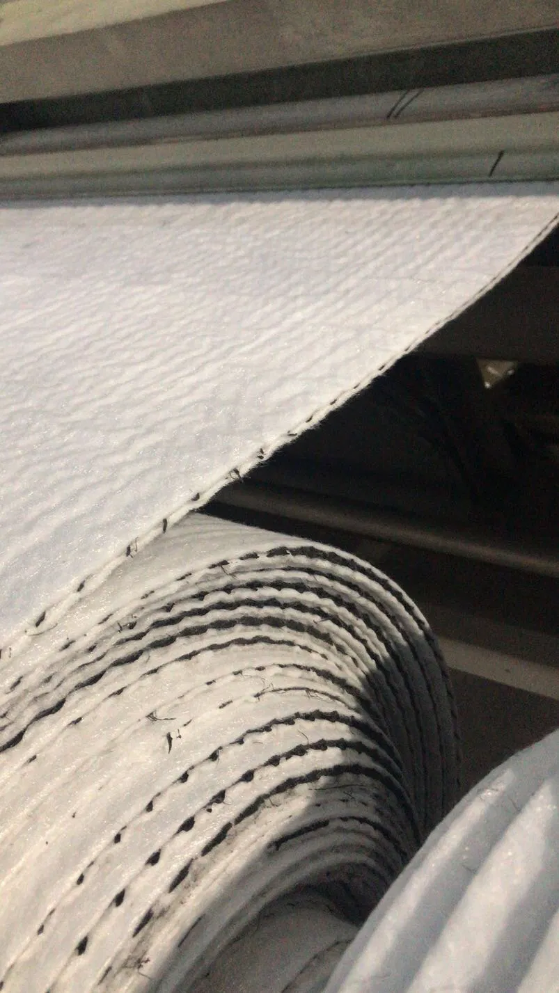 High Quality HDPE Composite Geotextile Woven Building Material Drainage Geogrid Geonet