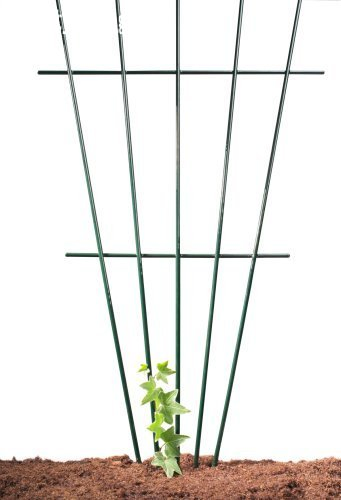 Europe Popular Type Garden Trellis Plant Support Home Use