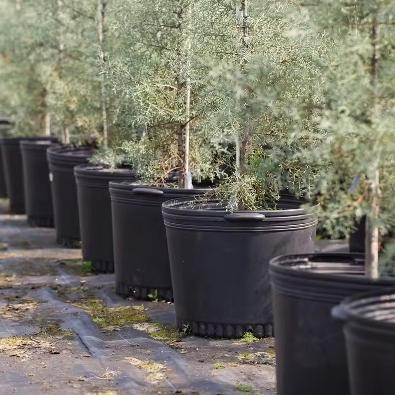 Черные горшки для рассады 1-25 галлонов