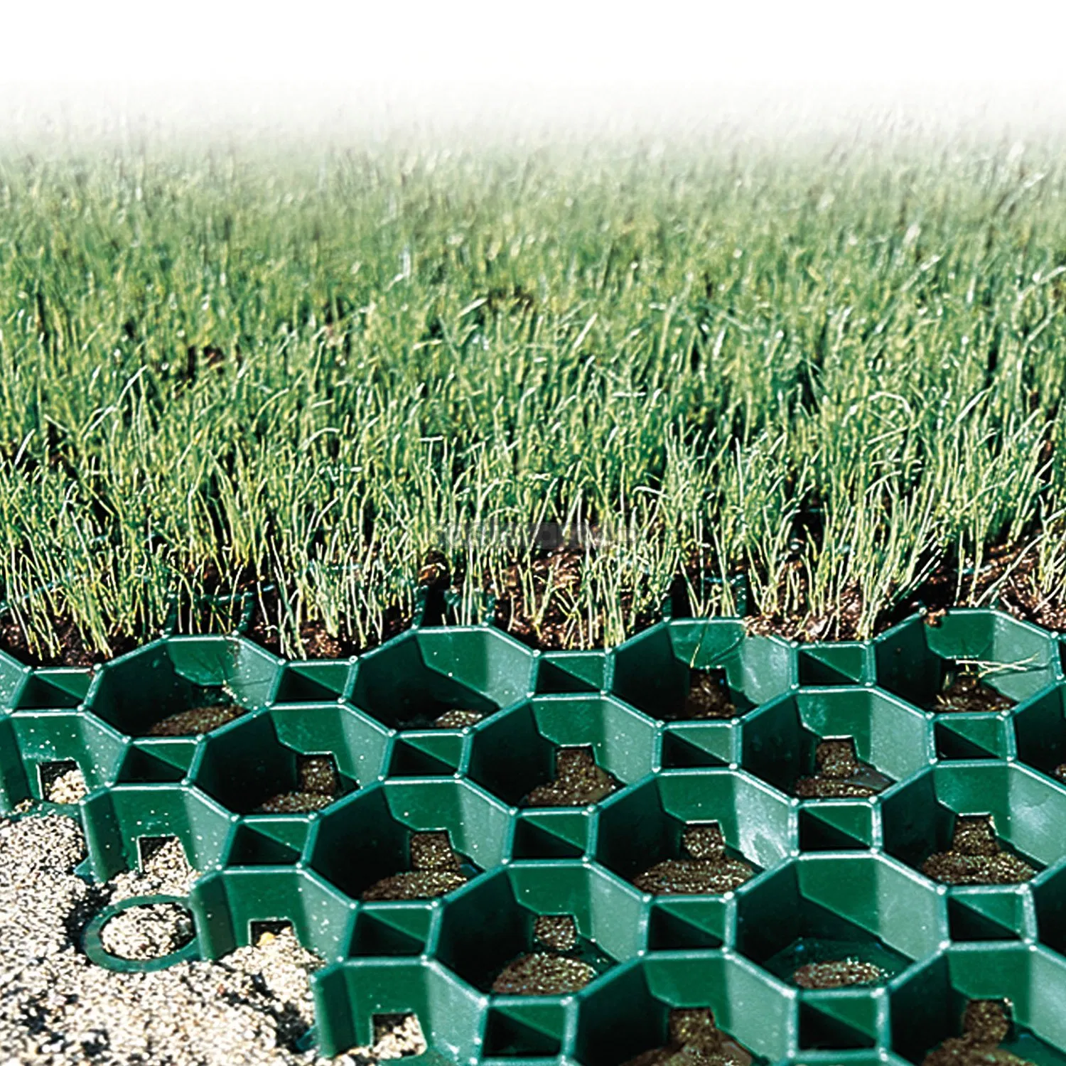 New Materials in Stock 8PCS Plastic Heavy Duty Grass Paver Grid Slope Greening Lawn Grass Planting Grid for Fire Lane