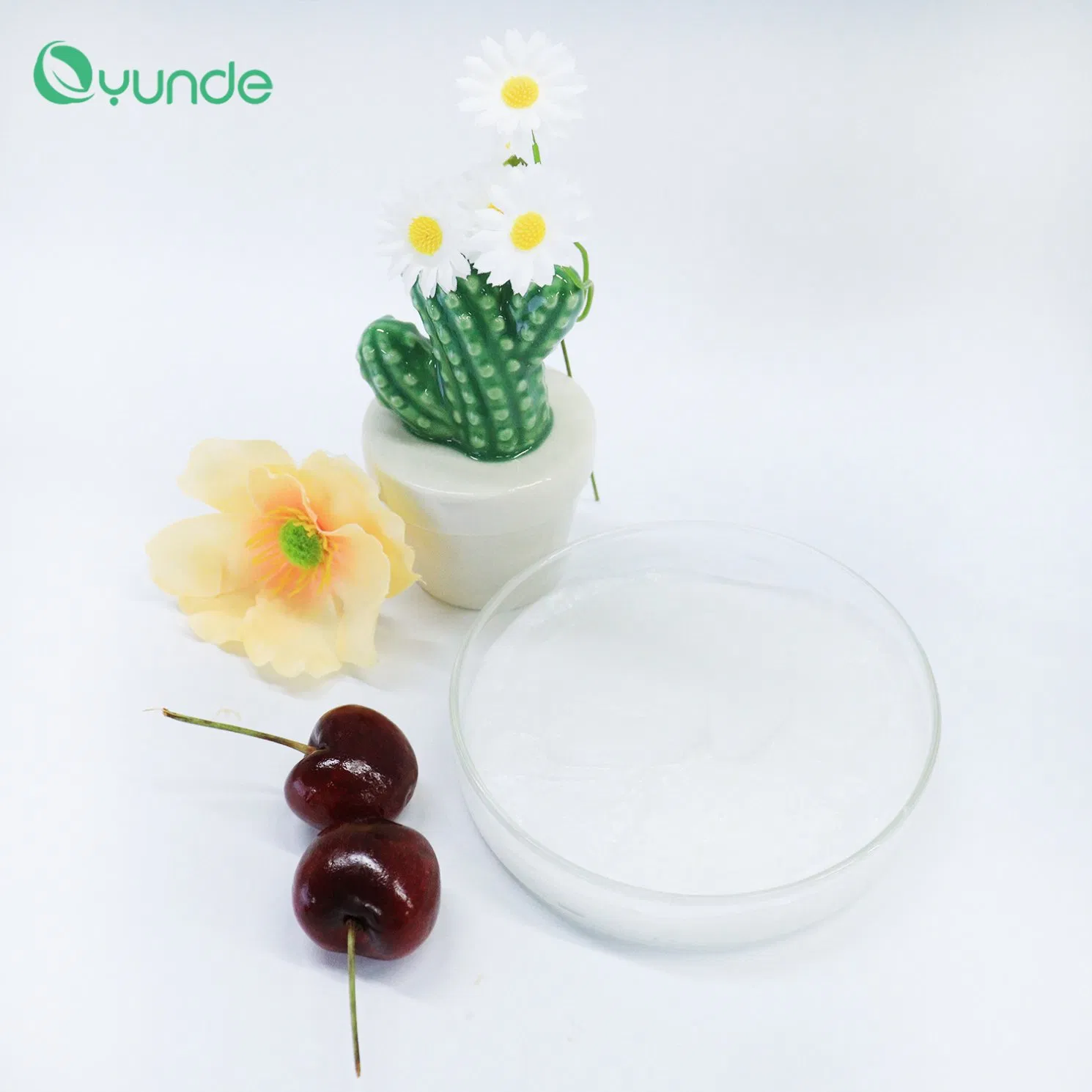 Focus on Repairing Damaged Hair with Glossy and Supple Glycerin Conditioner