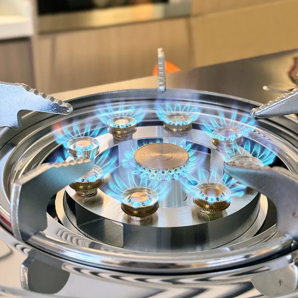 Powerful Flame Stainless Steel LPG Gas Stove 2-Burner Table Gas Cooker