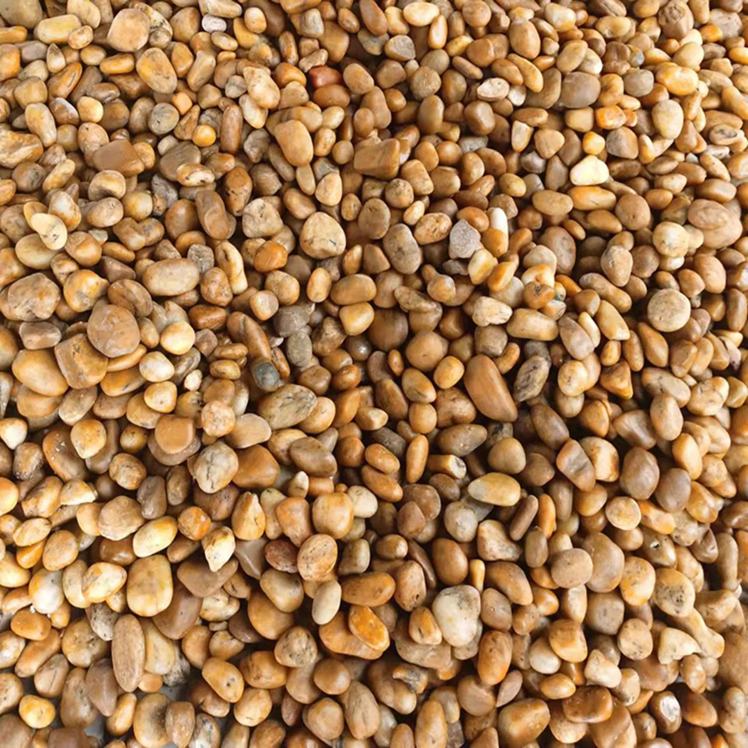 Landscape Garden and Aquarium Flat River Rock Stone Yellow Polished Pebbles