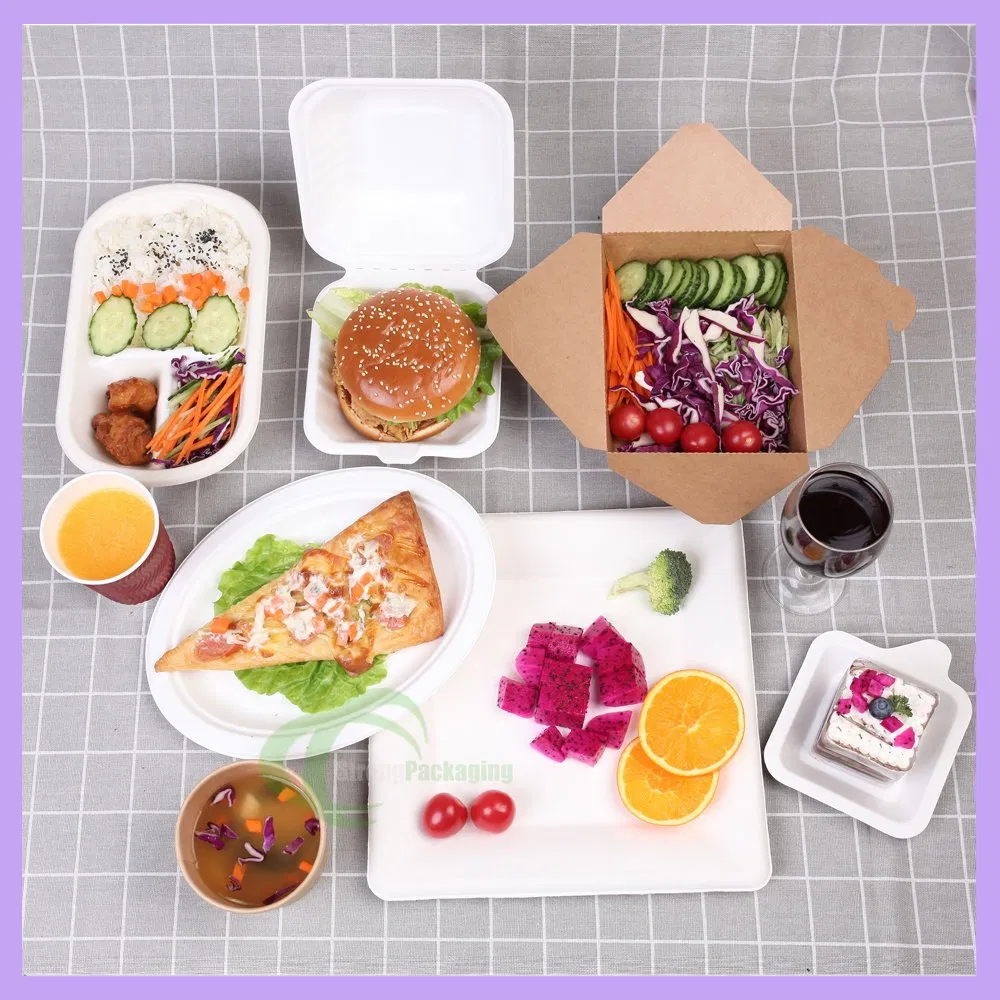 100% Compostable Takeaway Lunch Box Sugarcane Bagasse 3-Compartment Pulp Clamshell