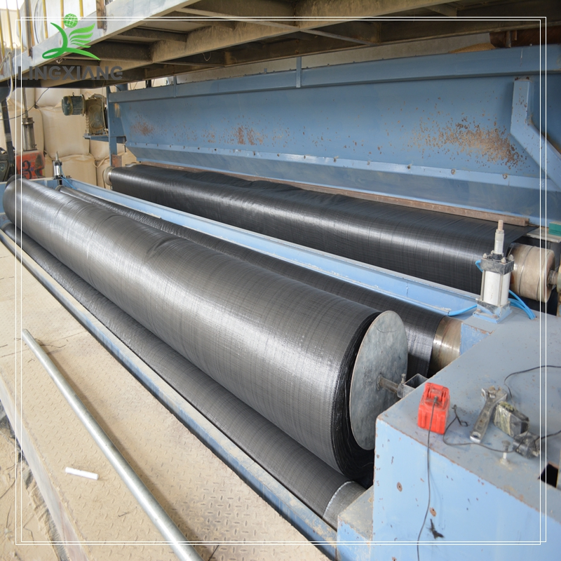 Innovative Bentonite Coated Geotextile Mat Waterproof Gcl for Drainage Municipal Project/Landfilled/Waste Water Treatment Use Geocomposite Clay Liner