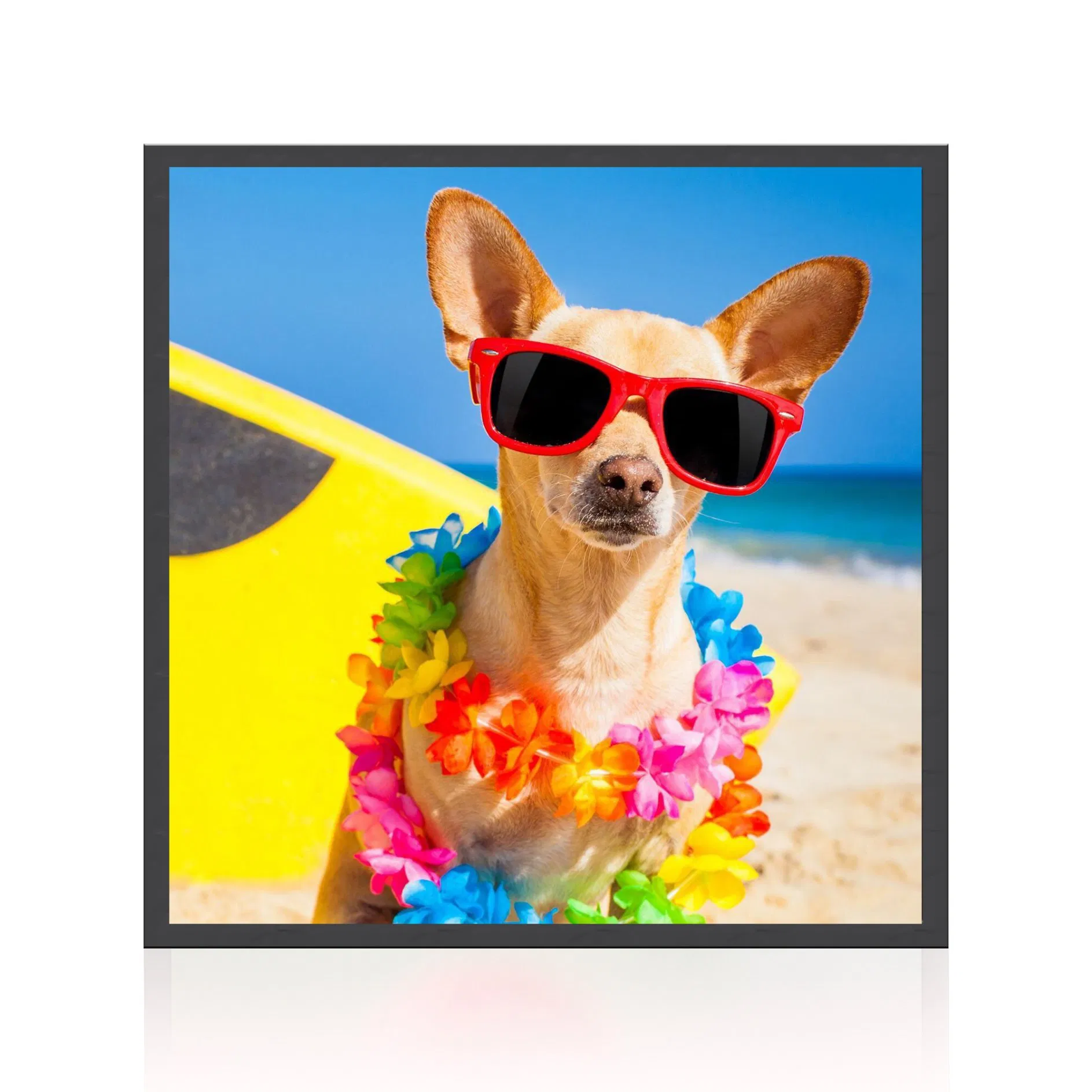 Custom 19.2 22 29.5 33.3 35.7 51.7 Inch High Quality Low Reflection 4K 8K Digital Photo Frame