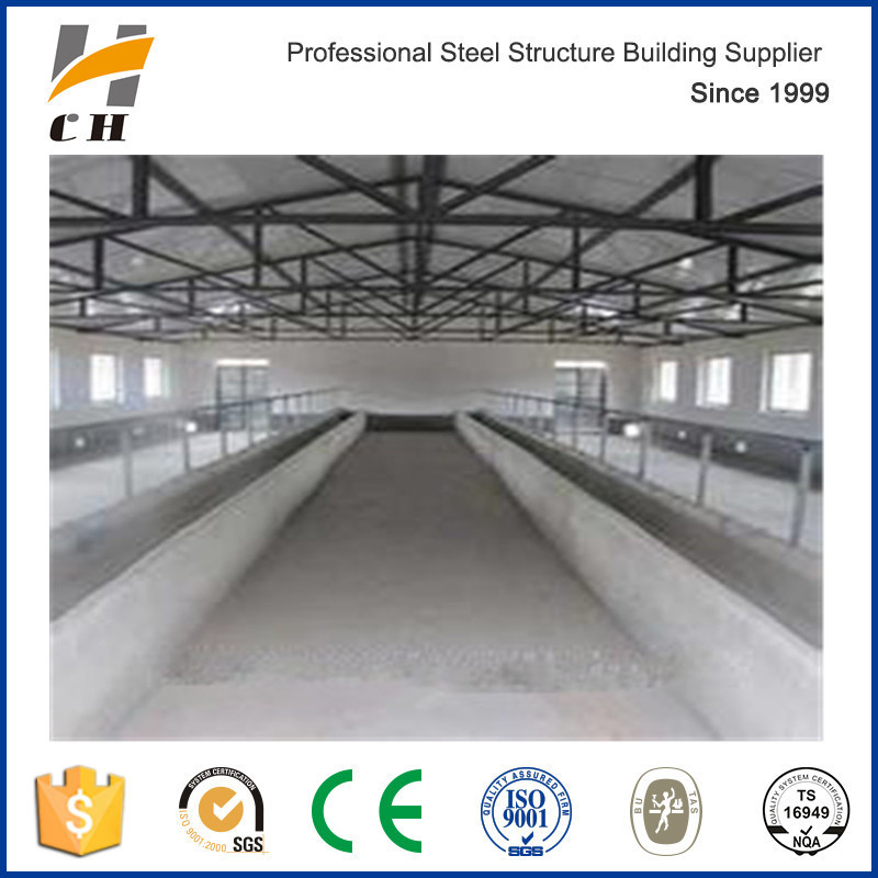 Factory Direct Manufacturing Low Price Roof for Poultry House for Chicken