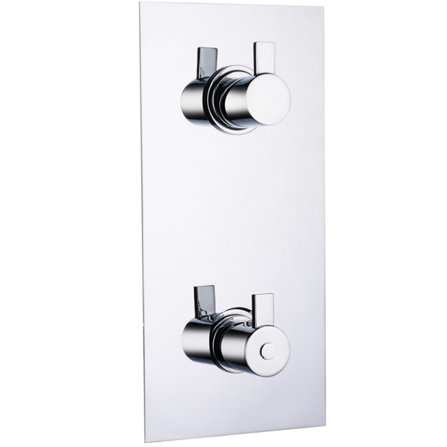 The Contracted Simple Design of Brass Polished Mounted Thermostatic Shower