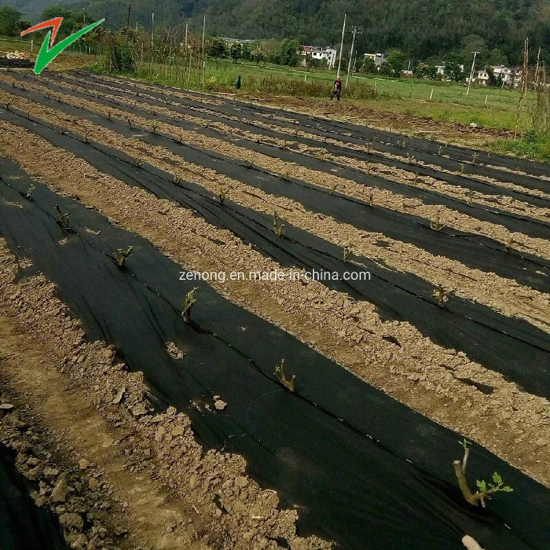 Anti Grass Cloth, Black Weed Control Mat with Line, 100% PP Woven Textile