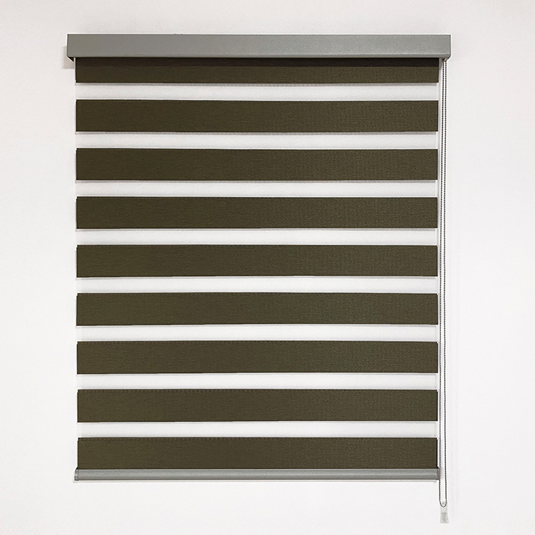 Customized Size Double Layer Window Zebra Shades Blinds