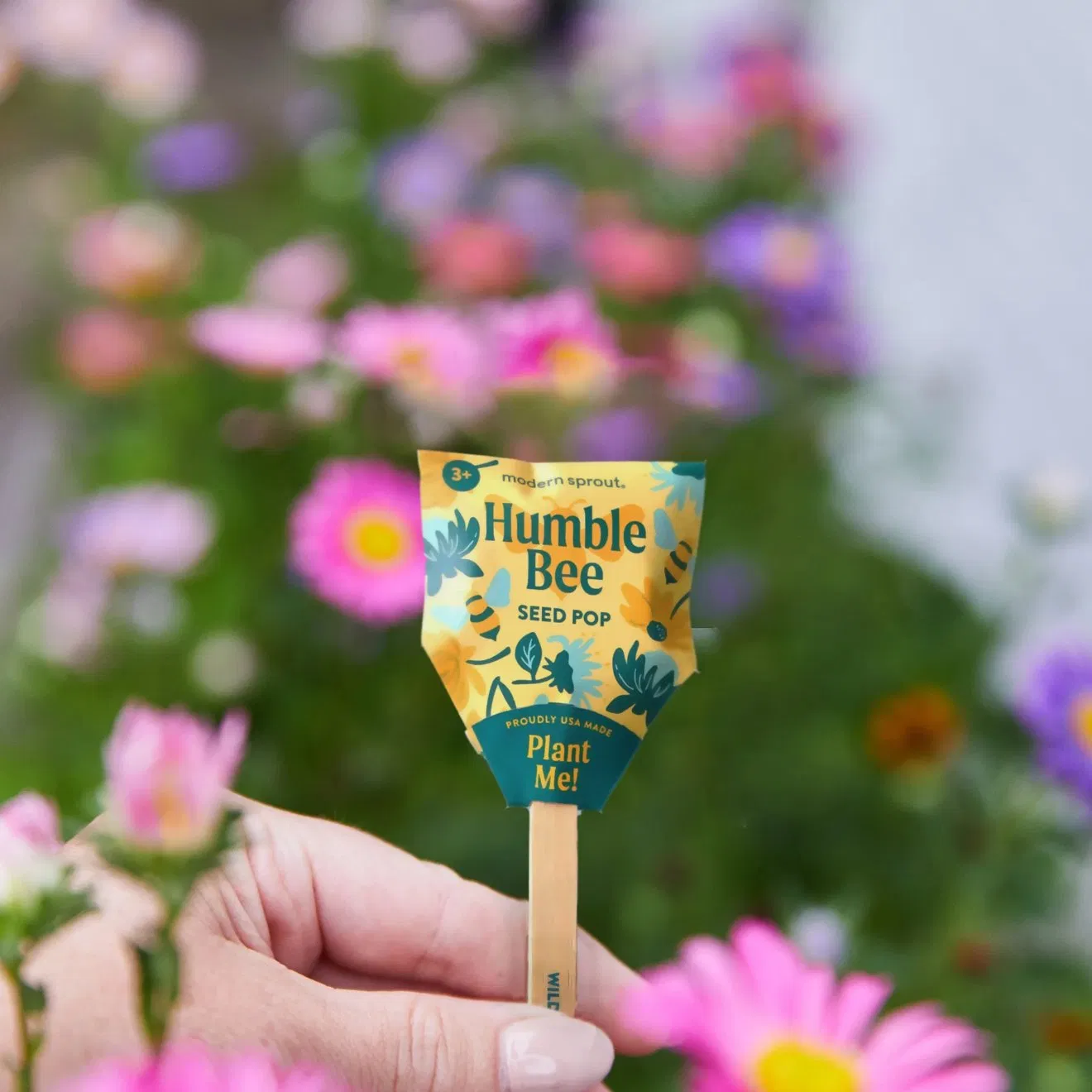 Each Bumble Bee, Butterfly and Song Bird Seed Pop Includes a Curated Selection of Perennial Wildflower Seeds, Clay, Worm-Castings and Planting Instructions.