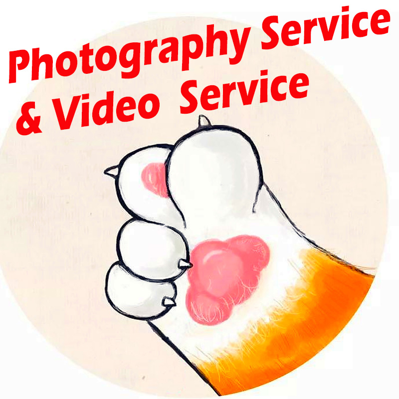 Профессиональная фотосъемка товаров для Amazon