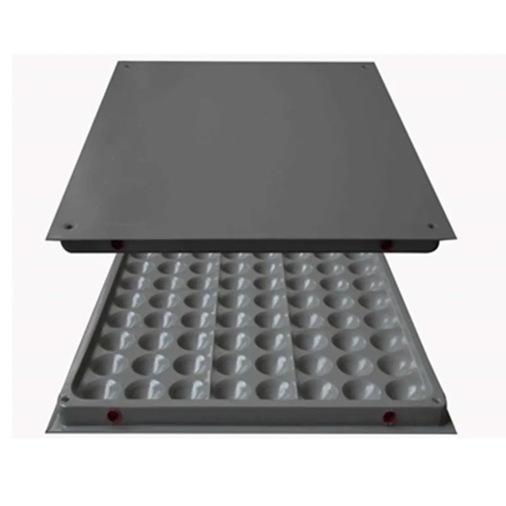 Steel Cementitious Raised Access Floor (Grey-White Powder)