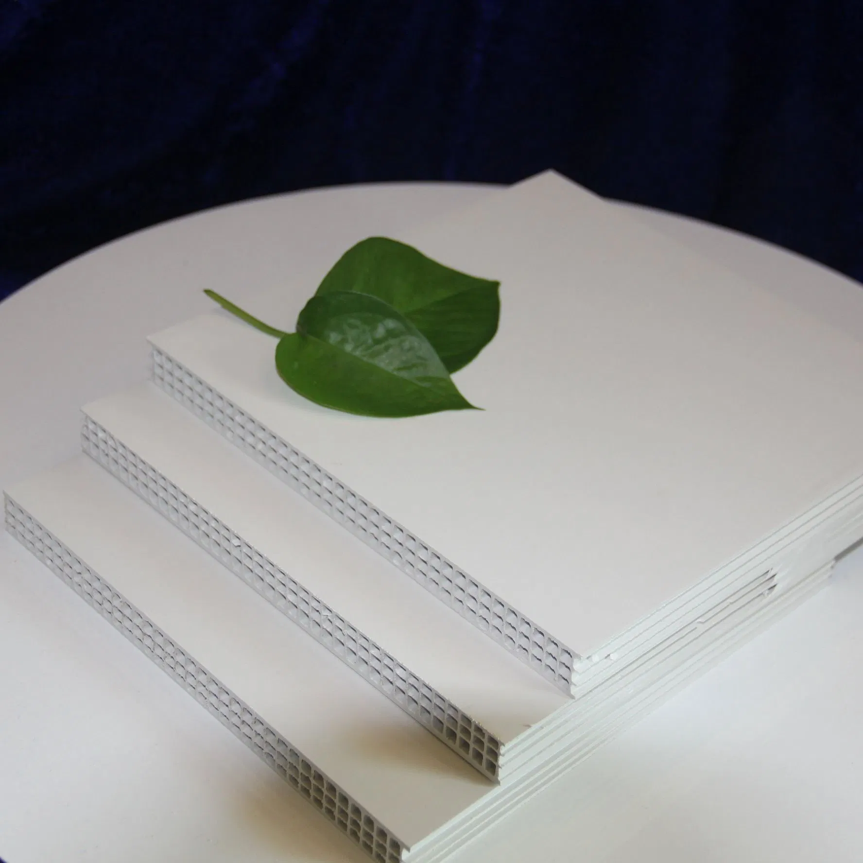 Waterproof and Durable Coffrage Pour Beton