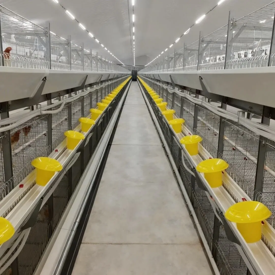 Layer Chicken Cage Unit with Fixed Egg Deflector and Non Washable Manure Deflector Plates