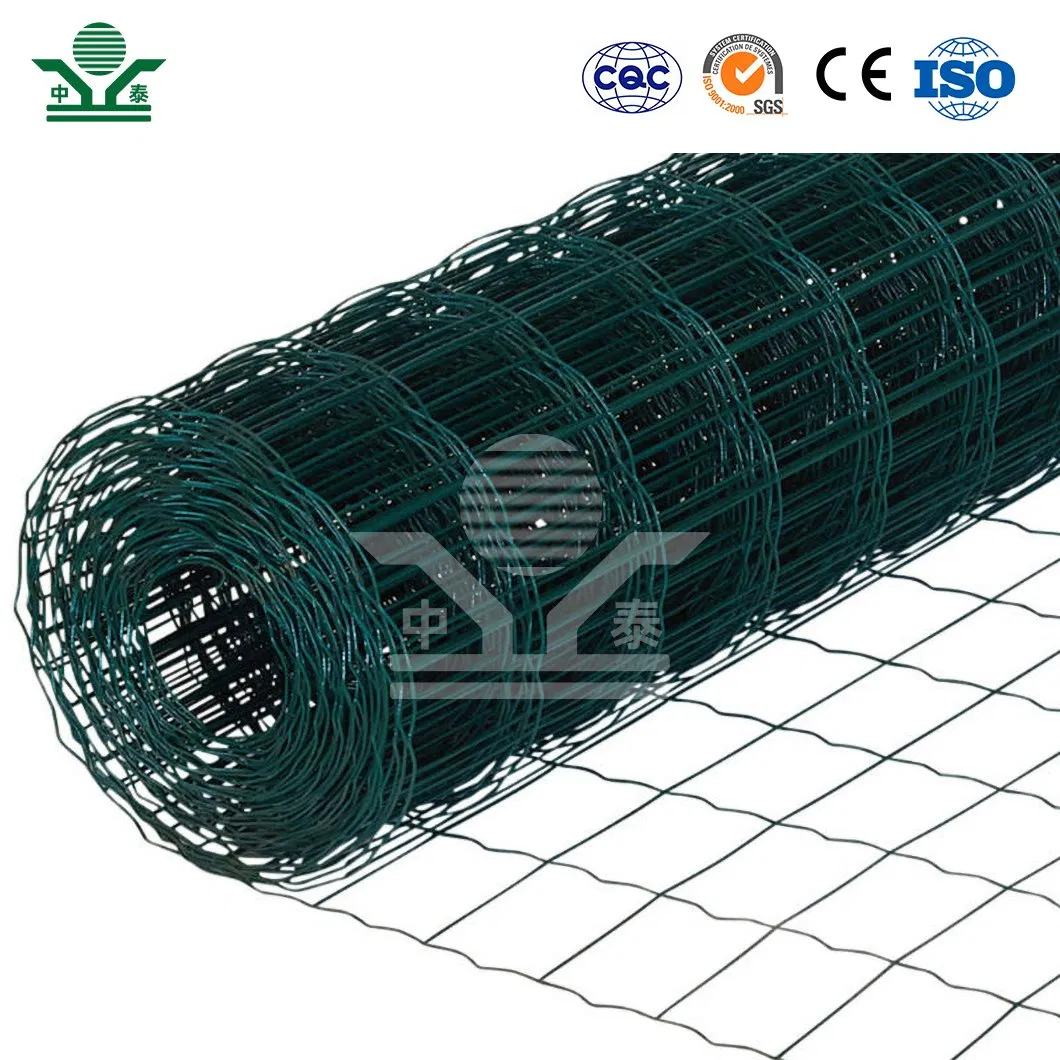 Zhongtai Dutch PVC-Coated Wire Mesh Fence China Manufacturing Dutch Holland Wire Mesh 5 - 25 M Length Dutch Wire Mesh Garden Fence