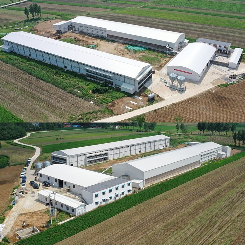 Quick Install Factory Prefabricated Steel Structure Slaughter Workshop