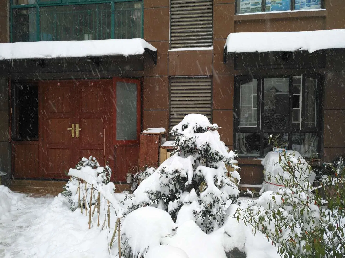 DIY Window Door Polycarbonate Rain Sun Awning