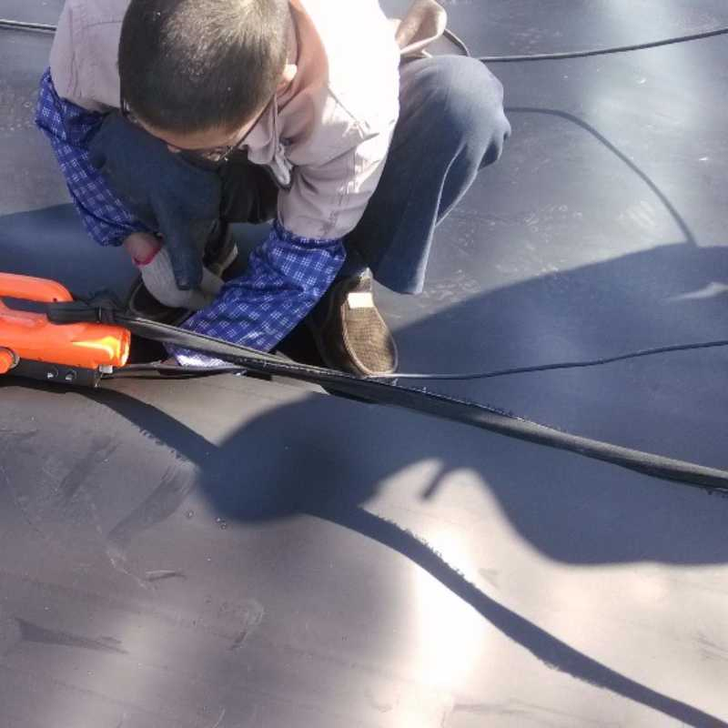 PP Insulation Geomembrane - Good Insulation Performance, Used for Building Project Landfills Water Pond