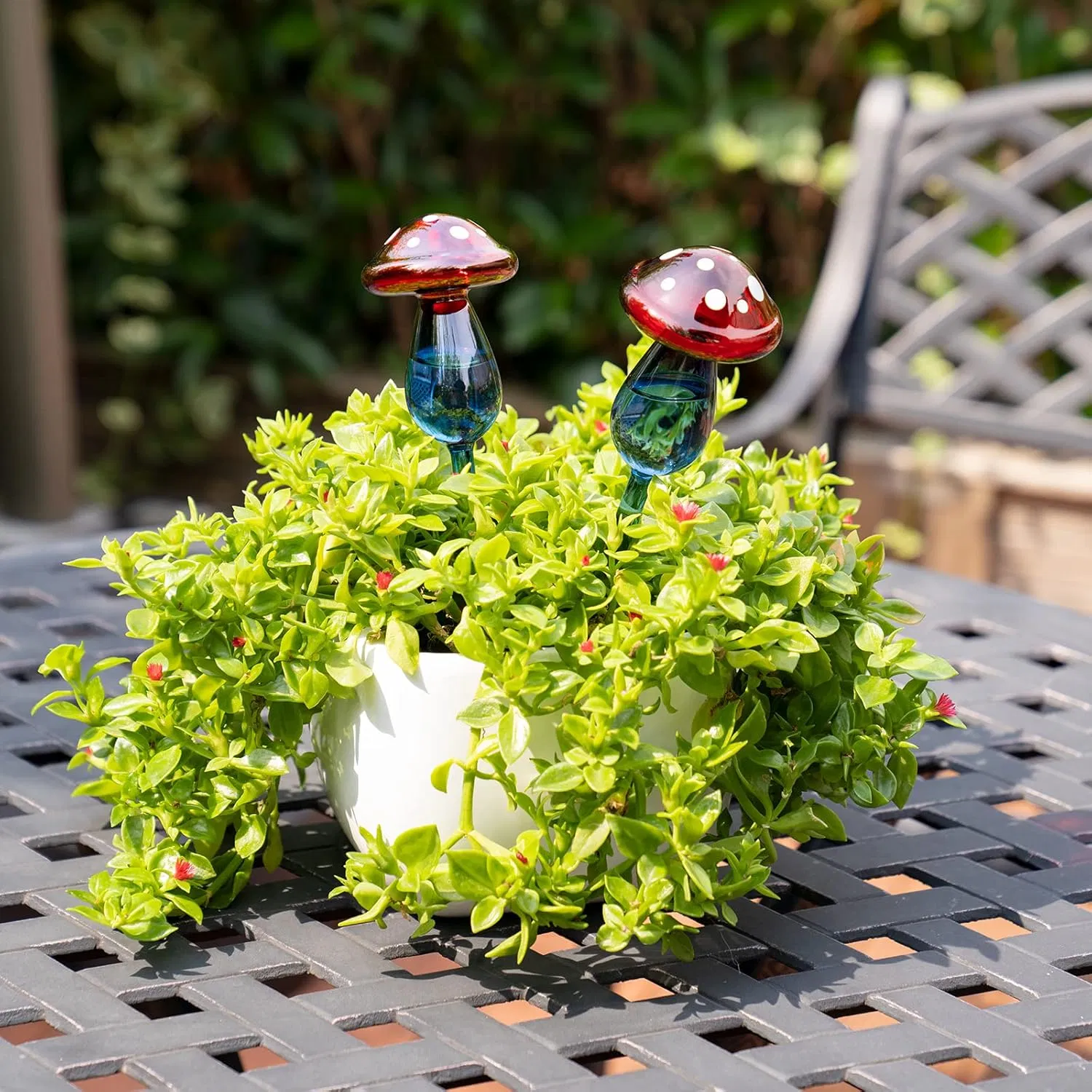 10" Long Gradient Red Blue Hand-Blown Glass Globe Pot Plant Waterer