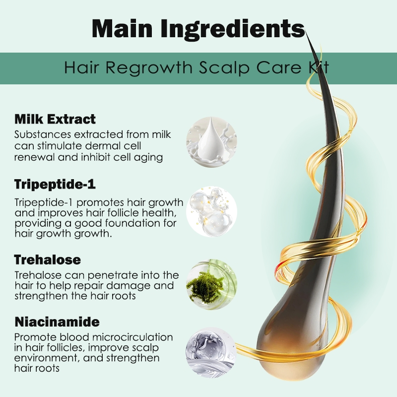 Hair Care Serum Scalp Care Serum Hair Care Freeze-Dried Powder Exosomas Polypeptide for Improve Bald Hair Repair Serum